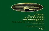 Flora ilustrada del Páramo de Chingaza: guía de campo de plantas comunes. Segunda edición, 2010.