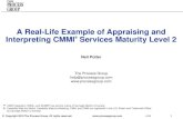 A Real-Life Example of Appraising and Interpreting CMMI Services Maturity Level 2 Nov 2010