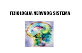 Fiziologija Nervnog Sistema