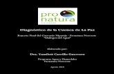Reporte Final Dialogos Del Agua Pronatura Original