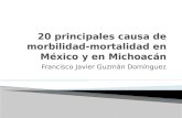20 principales causa de mobi-mortalidad en México y