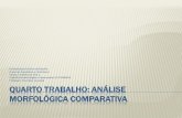 Analise Morfologica Comparativa Grécia