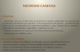 Necrosis Caseosa