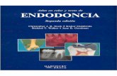 Atlas de Endodoncia 2a Ed. (C. Stock Et Al, Hartcourt Brace 1996)Virgencitadelospx