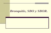 Bronquitis, SBO y SBOR