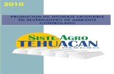 Proyecto Tehuacan Secam 2010 Ok2