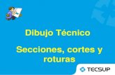 DIBUJO TECNICO- SECCIONES, CORTES Y ROTURAS