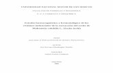 Estudio farmacognóstico y bromatológico de los residuos industriales de la extracción del aceite de Plukenetia volubilis L.(Sacha inchi)