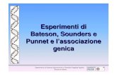 12 Esperimento Di Bateson e Punnet e Associazione Genetica genetica agraria uniss