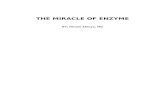 The Miracle of Enzyme