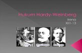 Hukum Hardy-Weinberg 2