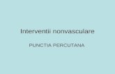 Punctia-percutana Imagistic f