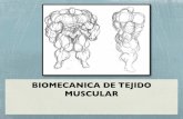 Biomecanica de tejido muscular.pdf