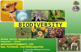 Biodiversity PPT prepared by Krishna Sastry Durbha for Green Earth Organisation, Anaparthy