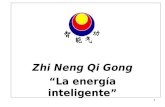 Apunte Zhi Neng I Power Point