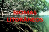 Biomas Litoraneos Apresentar Esse