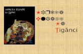 Mircea Eliade - La Tiganci PPT