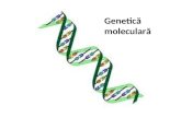 genetica moleculara