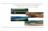 Silvicultura de Plantaciones Forestales en Colombia