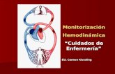 monitorizacion hemodinamica