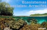 Tema 6 - Ecosistemas Especiales (Arrecifes)