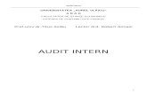 76805161 Audit Intern Curs