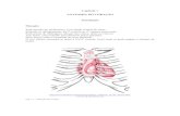 Fisiocardcap01 Anatomia Coracao