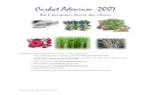 Adenium Files 2007 - Bab 2 - Perawatan-hormon-Vitamin