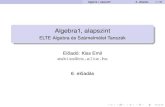Kiss Emil - Algebra (Alapszint)
