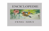 Enciclopedie Feng Shui