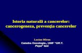 ROM Curs 2 Carcinogeneza 2012