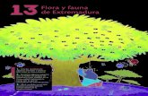 Flora y fauna de Extremadura.pdf