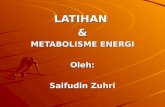 Latihan Dan Metabolisme Energi-1