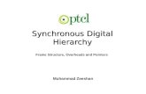 Synchronous Digital Hierarchy