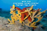 הוד הים- יציבות ושינוי במערכות הימיות בישראל