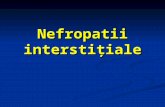 Nefropatii interstitiale