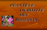 Plantele Ocrotite Din Rom¢nia