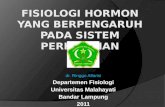 Fisiologi Hormon Perkemihan