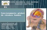 Funcionamento global do cérebro humano
