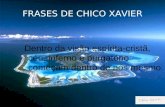FRASES DE CHICO XAVIER - Blog Partida e Chegada
