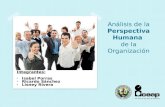 Perspectiva humana en el análisis de la organización