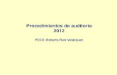 Procedimientos de auditoria 2012