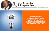 Servicios de consultoría para instituciones de educación superior de América Latina