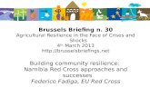 30thBrussels Briefing on Agricultural Resilience  -    8. Federico Fadiga: Building community resilience