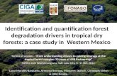 Identification and quantification forest degradation drivers in tropical dry forests: a case study in  Western Mexico