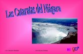 Las Cataratas Del NiáGara