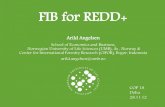 Financial incentive benchmark for REDD+
