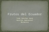 Frutos Del  Ecuador