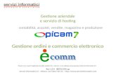 Picam7 - Gestione aziendale