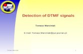 Dtmf Detection